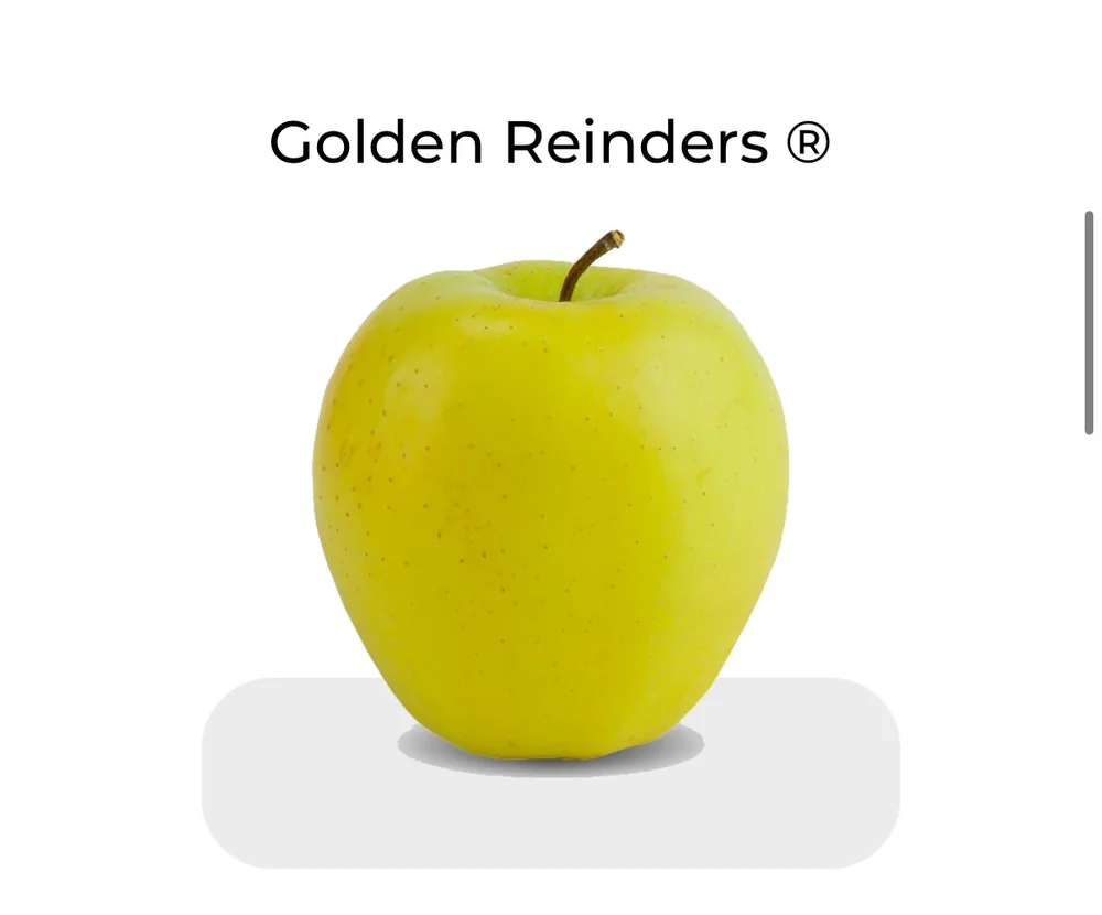 Golden Reinders